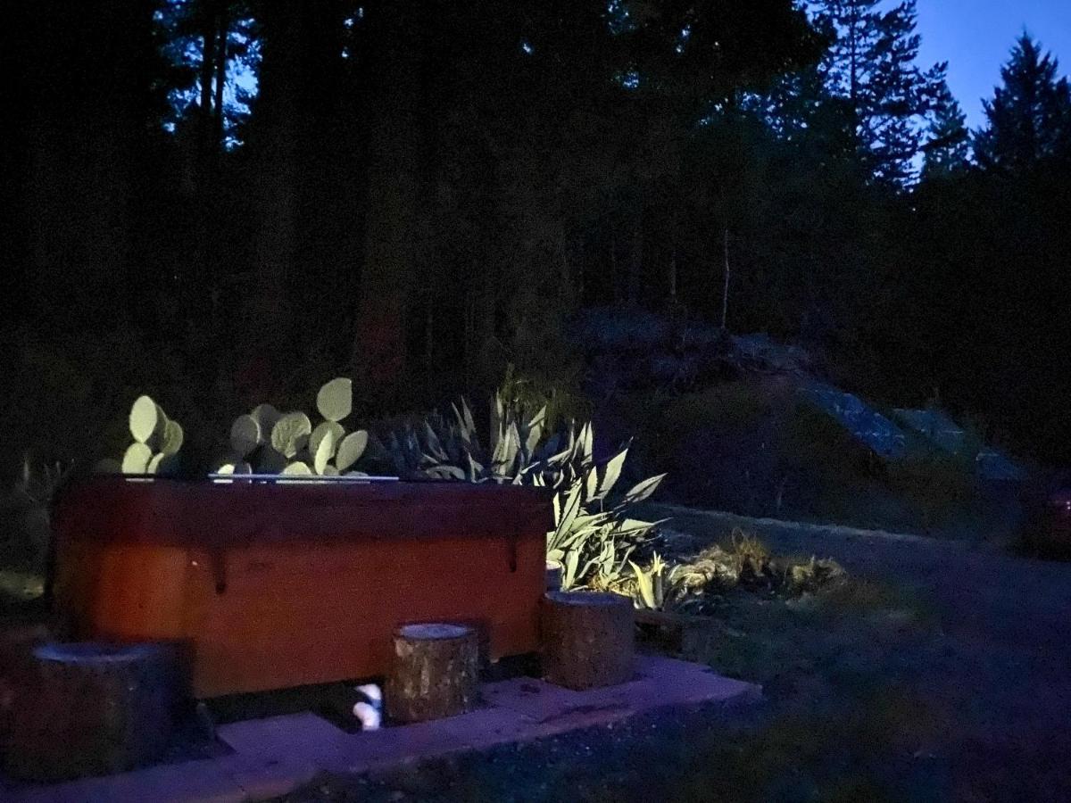 Glamping In The Redwoods With A Hot Tub! 호텔 가버빌 외부 사진
